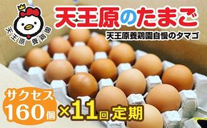 【定期便】11回定期 【天王原のたまご】 サクセス卵160個入り【定期便 11回定期便 セット たまご 卵 玉子 タマゴ 濃厚 ハリ 弾力 ボリューム 甘味 旨味 卵黄 風味 生 コク 甘味 卵かけご飯 卵焼き 目玉焼き オムレツ 茶碗蒸し お菓子作り パンの材料】