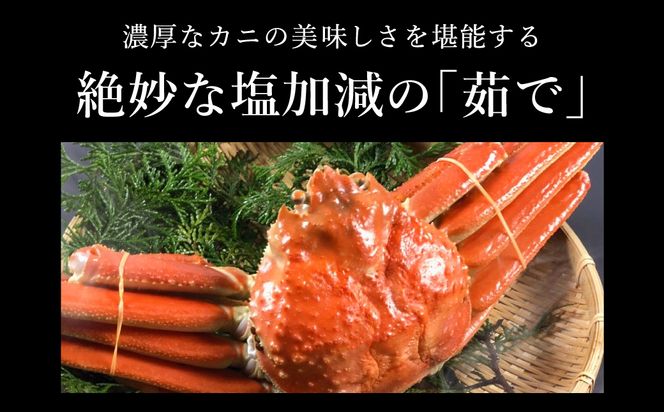 期間・数量限定 タグ付き 津居山産 松葉ガニ 1杯 / 茹で 900g～1kg / 新鮮 松葉がに 松葉蟹 ズワイガニ ずわいがに かに カニ 蟹 ボイル 冷蔵 海鮮 お取り寄せ グルメ 兵庫県 豊岡市 津居山漁港 但馬漁業協同組合