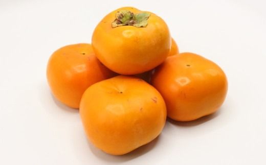 秋のフルーツの王様 ・ ブランド柿 「秋王」 化粧箱 約1.75kg 【2026年10月下旬～11月下旬発送予定】 柿 果物 フルーツ 九州 福岡県 香春町 冷蔵