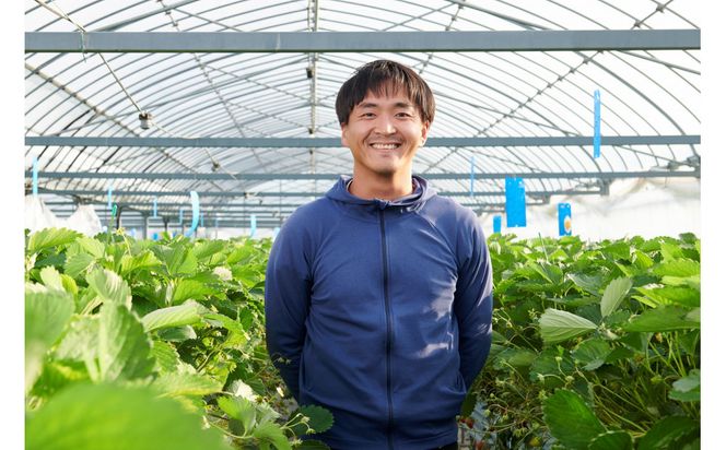 先行受付【静岡県産いちご】完熟紅ほっぺ・きらぴ香2パックセット（300g×2パック）【2026年1月下旬以降発送予定】 222232_CF003