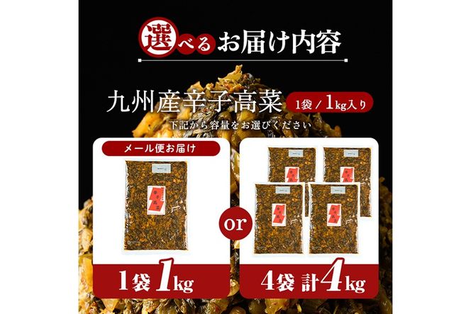 a568 《選べる内容量》九州産辛子高菜(1kg・4kg)【九州新進】姶良市 国産 九州産 たかな 漬物 漬け物 ご飯のお供 おかず おつまみ おにぎり 常温 常温保存