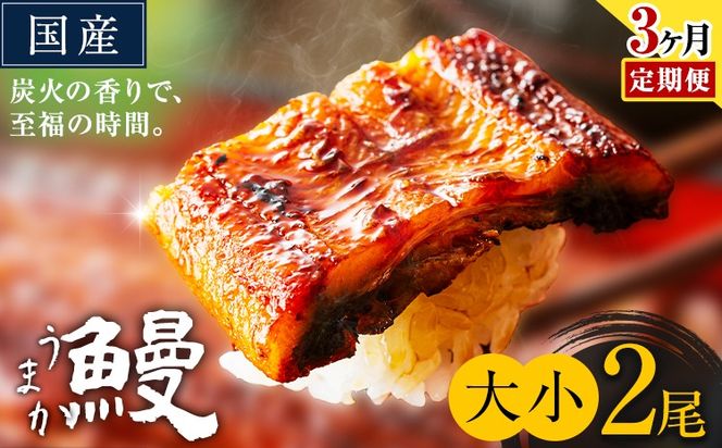 【3ヶ月定期便】うなぎ 大小 2尾  国産 鰻 真空パック おすすめ うなぎの蒲焼 《お申込み翌月から出荷》 ふるさとのうぜい 特上 簡易包装 ウナギ unagi 蒲焼 秋 冬 旬 配送時期 冷凍---mifune_lcl_1336_mo3---