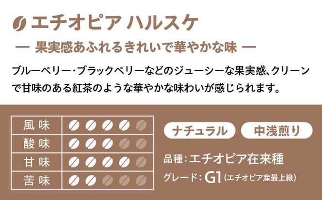 【自家焙煎】フルーティな味わい コーヒー 2種セット 糸島市 / 楽峰珈琲ロースター / コーヒー / セット[ALR001]