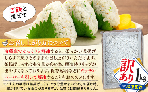 訳あり 釜揚げ しらす 1kg 減塩 日間賀島 冷凍 丸豊 愛知県 南知多町 離乳食 魚 さかな ご飯 ごはん 国産 シラス ピザ サラダ おにぎり 弁当 人気 おすすめ