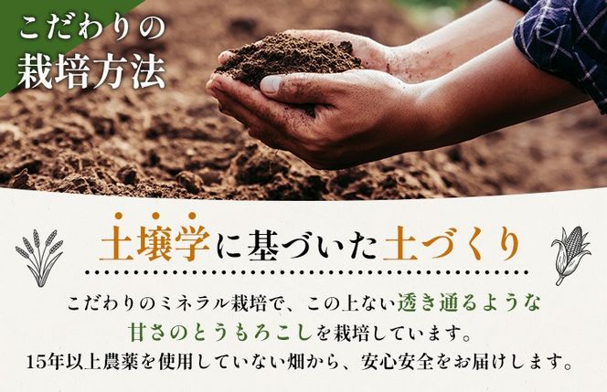 【2026年度発送分】上原農場直送　有機栽培とうもろこし (ピュアホワイト) 約5kg 約10本前後【66016】