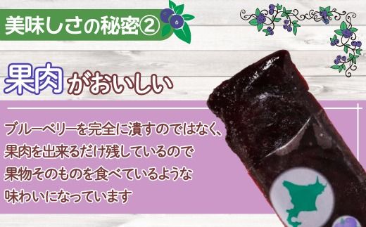 北海道 豊浦町 ブルーベリーシャーベット 20本 【 ふるさと納税 人気 おすすめ ランキング 果物 ブルーベリー 国産ブルーベリー ブルーベリーシャーベット 大容量 おいしい 美味しい 甘い 北海道 豊浦町 送料無料 】TYUN012