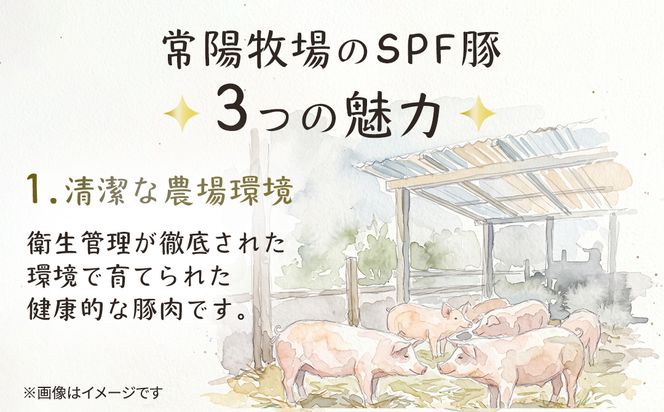 茨城県産のお米を食べて育った 常陽さん家の 美味豚 (SPF豚) 豚バラ 焼肉用 2kg (龍ヶ崎市 共通返礼品） 国産 バラ バラ肉 ロース 豚 SPF SPF豚 豚肉 焼肉 バーベキュー しゃぶしゃぶ 肉 にく 肉類 ポーク こだわり やわらか お米育ち 安心 安全 人気 お取り寄せグルメ お取り寄せ グルメ おすすめ 豚丼 照り焼 [BW003us]