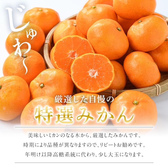 ＜先行予約受付中！2026年10月上旬以降順次発送予定＞ 数量限定！鹿児島県産 特選みかん(計約5kg) 国産 鹿児島県産 阿久根市産柑橘 果物 くだもの フルーツ 蜜柑 ミカン デザート 旬 数量限定 期間限定 手詰め 手詰【三笠農業生産】akn051-09