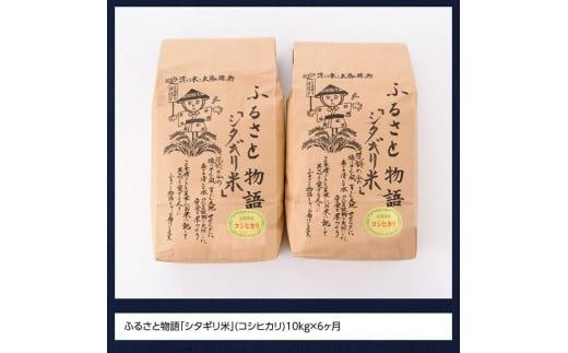 【6ヶ月定期便】※毎月20日頃発送※【令和6年産】宮崎県産こしひかり「シタギリ米」10kg【 お米 新米 2024年産 定期便 全6回 】 [D04202t6]