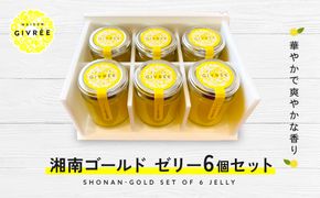 湘南ゴールドゼリー6個セット 142069_HY005