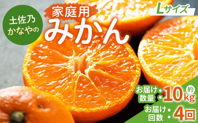 みかん 定期便 4回 土佐乃かなやの家庭用みかん10kg(Lサイズ)×4回 合計40kg - 定期便 数量 国産 早生みかん 極早生みかん グリーンみかん 蜜柑 ミカン 柑橘 果物 Wbe-0124