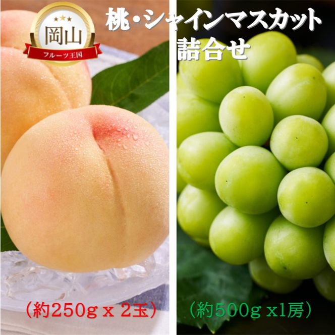 2026年 早期受付 岡山県産 桃 (約250g×2玉)・シャインマスカット(約500g×1房) 詰合せ 桃 シャインマスカット 果物 フルーツ