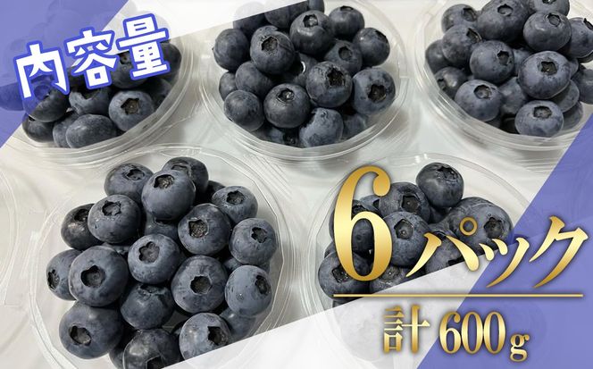 【先行予約】極上摘みたてブルーベリー　100g×6パック【期間限定】