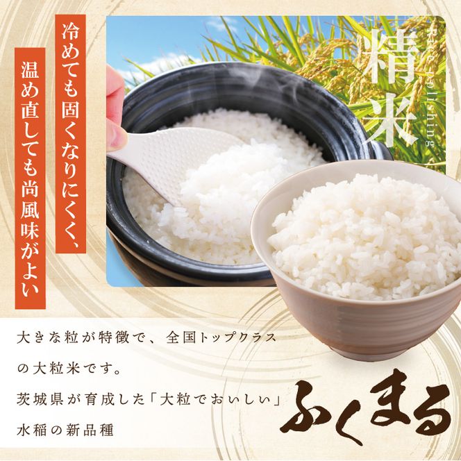 【数量限定】★茨城県オリジナル品種★R7年産 ふくまる 白米30kg|お米 米 ふくまる 白米 茨城県 取手市（BQ003）
