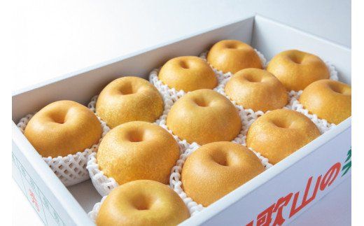 【先行予約受付】和歌山県産の美味しい梨 約4kg （10～13玉入り）【2026年8月中旬頃から9月中旬頃に順次発送予定】【mat102C】