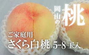 しっかりとした果肉「さくら白桃」ご家庭用 5-8玉 (岡山県産)【KF-A025-01】