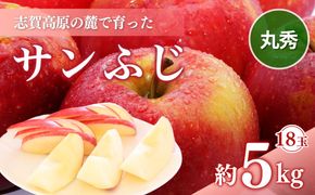 【2026年発送】志賀高原の麓で育った サンふじ 丸秀18玉 約5kg りんご 5kg フルーツ 果物 デザート 長野