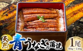 熊本県 八代市産 天然青うなぎの蒲焼 蒲焼セット 1尾（90g～110g） 自家製うなぎのタレ 鰻 ウナギ うなぎの蒲焼 丑の日 国産 うな丼 うな重