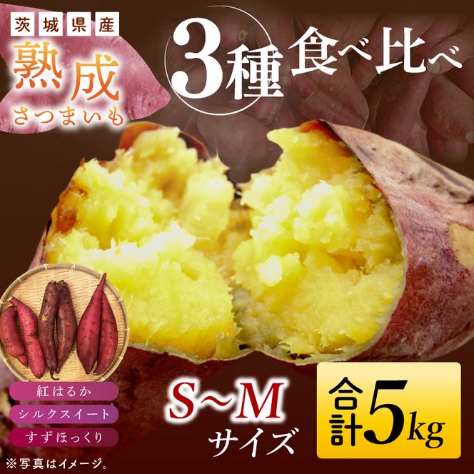熟成さつまいも 3種食べ比べセット 合計5kg 詰め合わせ（紅はるか・シルクスイート・すずほっくり） ｜ 茨城県 大子町 サツマイモ べにはるか 焼き芋 ホクホク 野菜 数量限定 ねっとり しっとり(CH002)