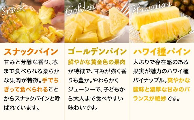 【予約受付】【定期便】石垣島産 パイナップル 3回 定期 3種 計6玉【2026年 5月頃・6月・7月頃お届け】 ふるさと納税 パイナップル パイン フルーツ 果物 果実 定期便 定期 3回 3か月 沖縄県 石垣市 石垣島 産地直送 ふるさと 人気 KP-017-t03
