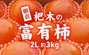 柿 かき 富有柿 3kg 2L サイズ 10～12個入り 朝倉 杷木の富有柿 カキ フルーツ 果物 果物類 