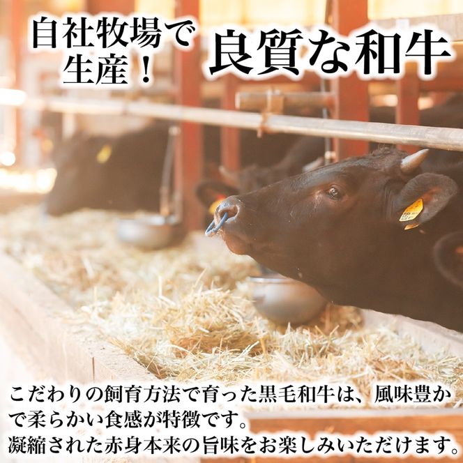 【自社農場和牛】黒毛和牛 赤身 焼肉用 800g（国産 黒毛和牛 牛肉 和牛 赤身 モモ ウデ 焼肉 BBQ）