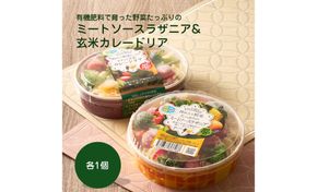 有機肥料で育った野菜たっぷりのミートソースラザニア&玄米カレードリア各1個【アグリCATS】_HA2083 野菜 たっぷり ミートソース ラザニア カレードリア 惣菜 美味しい 福岡県宗像市 宗像市 福岡 宗像