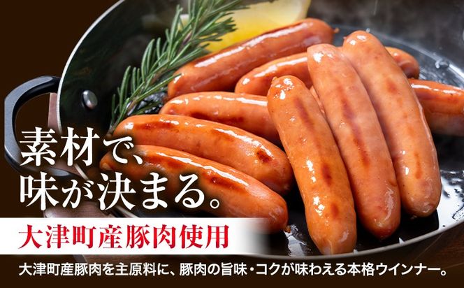 ウインナー 粗挽き ポーク ウインナー 500g 1kg 1.5kg 2kg ソーセージ 《2026年2月中旬-3月末頃出荷予定》九州産 豚肉 熊本県 大津町 惣菜 ウインナー ソーセージ 豚肉 豚 うまかポーク 弁当 おかず---oz_fumkwn_bc2_26_5500_500g---