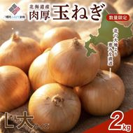 【新規】玉ねぎ L大サイズ 2kg