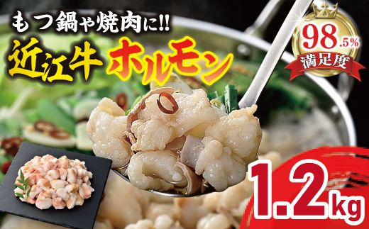 【カメチク】近江牛ホルモン焼肉または鍋用1200ｇ（600ｇ×2）【FK04W】