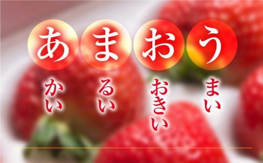 福岡産あまおう24-30粒ギフト 先行予約※2024年11月下旬～2025年4月上旬にかけて順次発送予定　AX016