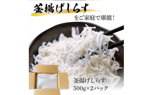 【CF-R7hbk】KGP079　高知県産釜揚げしらす500g×2パック 1kg 1キロ 簡易梱包 シラス 小分け 国産 釜揚げ しらす丼 海鮮丼 お茶漬け ごはん 軍艦巻き 手巻き寿司 ご飯 雑炊 冷奴 冷凍配送 おかず おつまみ