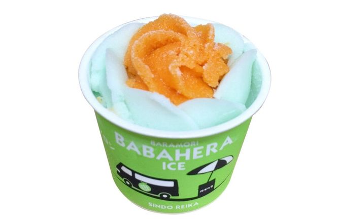 ババヘラ・メロンバラ盛りカップ＆タッパアイスセット【進藤冷菓】 ご当地アイス [ババヘラ メロン アイス バラ盛りカップ タッパアイス コーン]|23_sdr-040101