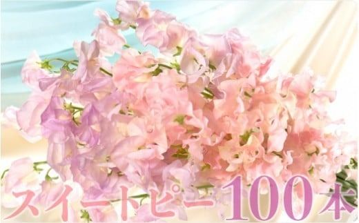 y{茧szy1`3zXC[gs[100{ N029-YE121