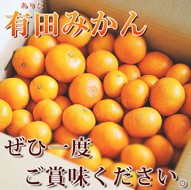 G7047_【2026年11月下旬頃より発送】完熟 有田みかん 10kg