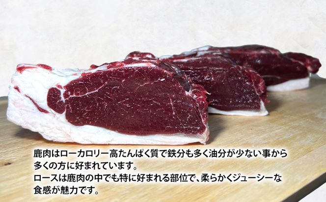 北海道 厚岸産 エゾシカ  ロース 約1kg  鹿 食肉用 鹿肉