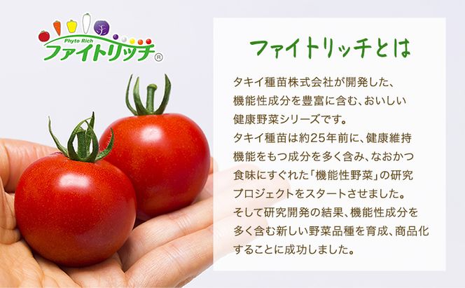 トマト 桜ファーム の 中玉トマト フルティカ 1.5kg とまと おいしい 箱入り ボックス 安心安全 農家直送 樹上完熟 ジュース ピューレ ソース ペースト 野菜