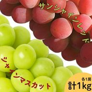 【2026年発送★先行予約】サンシャインレッド・シャインマスカット2房セット 1kg以上　167-165