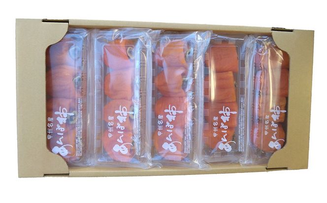 【山梨県産】甲州百目柿 あんぽ柿【大】（干し柿）２０個　干柿 ほし柿 ドライフルーツ 山梨 やまなし 富士川町