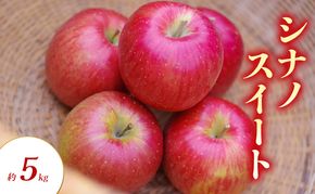 【2026年発送】シナノスイート 約5kg りんご リンゴ 林檎 果物 フルーツ 長野県 長野 山ノ内町