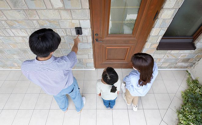 ドアホン インターホン テレビ モニター テレビドアホン TD-SM3010T-WSH ホワイト/ガンメタリック 録画機能 動画 自動録画 広角レンズ LEDライト 留守 簡単操作 アイリスオーヤマ 