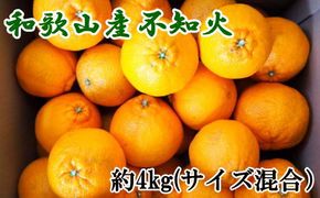 和歌山県産不知火約4kg（サイズ混合） ※2027年2月下旬～2027年3月下旬頃に順次発送予定（日付指定不可）【tec957】