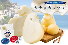 がんばれ中日ドラゴンズ！カチョカヴァロ1個【中日ドラゴンズコラボ】【0073-088】
