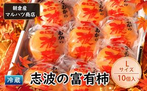 柿 冷蔵 志波の富有柿 Lサイズ×10個入 マルハツ商店 配送不可：離島 果物類 かき 