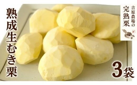 【 吉原農場 の 完熟栗 】 熟成 生むき栗 3袋 ( 120g × 3袋 ) 令和7年産 完熟 栗 くり クリ 栗ごはん 贈答 ギフト 果物 フルーツ 数量限定 旬 秋 冬 正月 おせち [CX019ci]