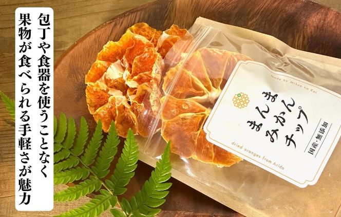 【母の日ギフト】みかん ドライフルーツ まんまみかんチップ 100g ( 20g × 5袋 ) 和歌山県産 果物使用 国内製造 【みかんの会】  AX354