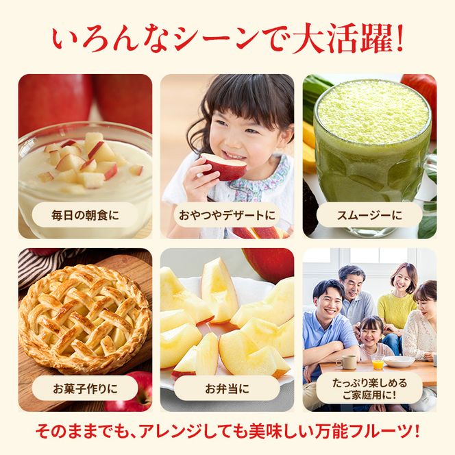 人気No.1 りんご ふじ 10kg 果物 フルーツ 先行予約 単品 定番 宮城県 大河原町 リンゴ 林檎 くだもの 大容量 送料無料