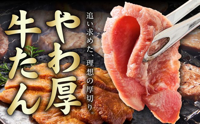 G4674 厚切り牛タン 1.2kg 秘伝の味噌だれ【300g×4P 牛肉 牛タン 牛たん 厚切り牛タン 焼肉 BBQ キャンプ アウトドア 焼くだけ 訳あり サイズ不揃い 小分け】