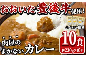 肉屋のまかない 豊後牛 カレー (計2.3kg・230g×10P) レトルト レトルトカレー 簡単調理 湯煎調理 ビーフカレー おおいた豊後牛 ご当地カレー【HE07】【吉野】