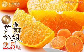 ZS6140n_主井農園 高級 せとか 赤秀 2.5kg